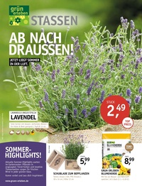 Gartencenter Stassen Prospekt - Angebote ab 05.06.