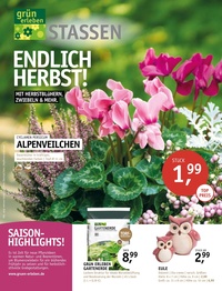 Gartencenter Stassen Prospekt - Angebote ab 13.09.