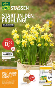 Gartencenter Stassen Prospekt - Angebote ab 28.02.