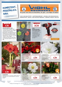 Viohl Baumarkt Prospekt - Angebote ab 28.11.