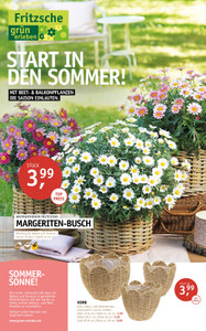 Blumenhaus Fritzsche Prospekt - Angebote ab 11.04.