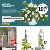 Blumenhaus Fritzsche Prospekt Seite 2