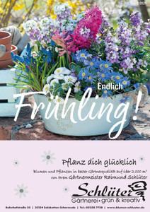Schlüter Blumen und Floristik Prospekt - Schlüter Blumen und Floristik