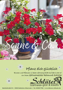 Schlüter Blumen und Floristik Prospekt - Schlüter Blumen und Floristik