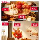 Woolworth Prospekt - Herbstliche Angebote Angebote