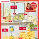 Woolworth Prospekt Seite 2