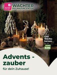 Wächter Pflanzencenter Prospekt - Wächter Pflanzencenter