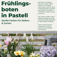 Wächter Pflanzencenter Prospekt Seite 2