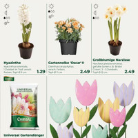 Wächter Pflanzencenter Prospekt Seite 3