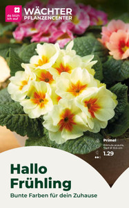 Wächter Pflanzencenter Prospekt - Wächter Pflanzencenter
