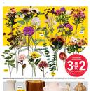 Rusta Prospekt - Blumen