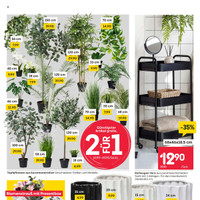 Rusta Prospekt - Blumen