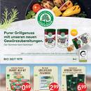 Erdkorn Prospekt Seite 3