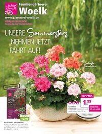 Familiengärtnerei Woelk Prospekt - Unsere Sommerstars nehmen jetzt fahrt auf!