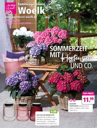 Familiengärtnerei Woelk Prospekt - Sommerzeit mit Hortensien und co.