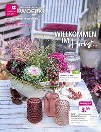 Familiengärtnerei Woelk Prospekt - Willkommen im Herbst