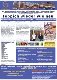 Teppichwäscherei Prospekt - Teppichdoktor