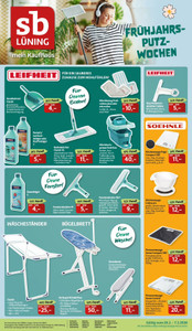 sb Lüning Prospekt - Frühjahrsputzwochen