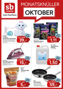 sb Lüning Prospekt - Oktober 2026