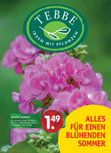 Pflanzen Tebbe Prospekt - Alles für einen blühenden Sommer