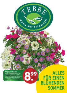 Pflanzen Tebbe Prospekt - Alles für einen blühenden Sommer