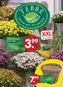 Pflanzen Tebbe Prospekt - Herbstzauber