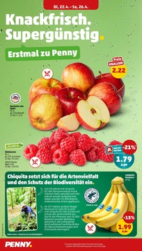 PENNY Prospekt - Angebote ab 22.04.