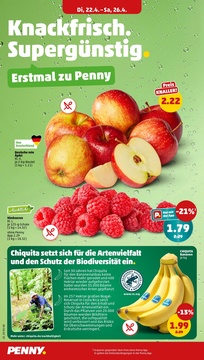 PENNY Prospekt - Angebote ab 22.04.