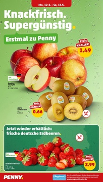 PENNY Prospekt - Angebote ab 12.05.