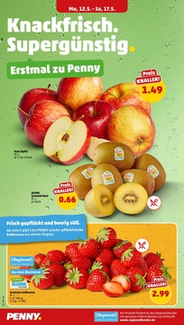 PENNY Prospekt - Angebote ab 12.05.