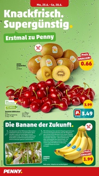 PENNY Prospekt - Angebote ab 23.06.