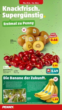 PENNY Prospekt - Angebote ab 23.06.