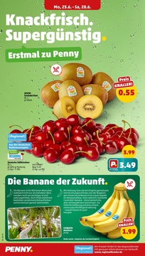 PENNY Prospekt - Angebote ab 23.06.