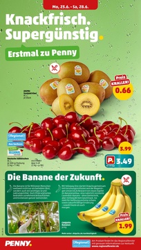 PENNY Prospekt - Angebote ab 23.06.