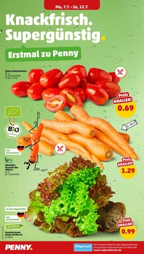 PENNY Prospekt - Angebote ab 07.07.