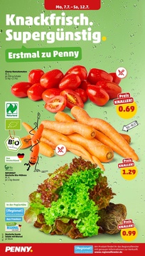 PENNY Prospekt - Angebote ab 07.07.