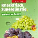 PENNY Prospekt Seite 2