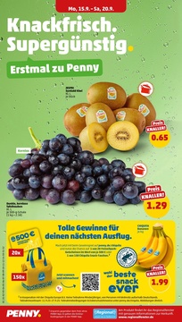PENNY Prospekt - Angebote ab 15.09.