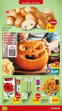 PENNY Prospekt - Angebote ab 20.10.