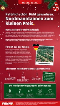 PENNY Prospekt - Angebote ab 01.12.
