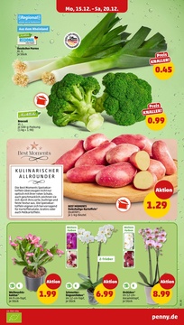 PENNY Prospekt - Angebote ab 15.12.