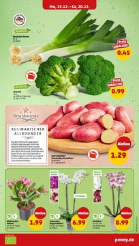 PENNY Prospekt - Angebote ab 15.12.