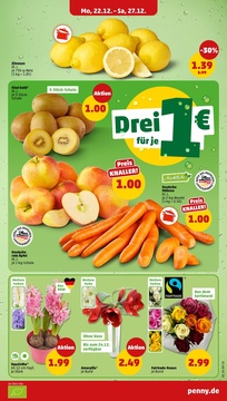 PENNY Prospekt - Angebote ab 22.12.