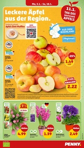 PENNY Prospekt - Angebote ab 05.01.