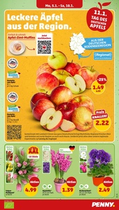 PENNY Prospekt - Angebote ab 05.01.