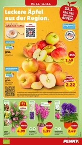 PENNY Prospekt - Angebote ab 05.01.