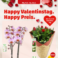 PENNY Prospekt Seite 8