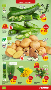 PENNY Prospekt - Angebote ab 09.03.