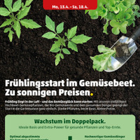 PENNY Prospekt Seite 30