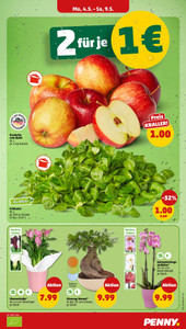 PENNY Prospekt - Angebote ab 04.05.